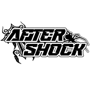 AFTERSHOCK LLC